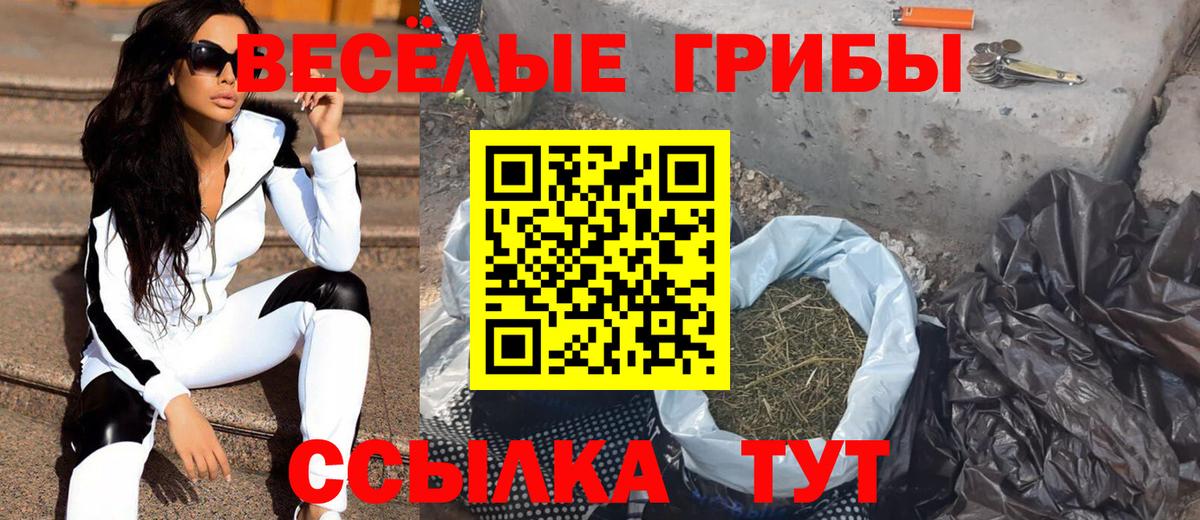 Конаково  Галлюциногенные грибы Cubensis  Вход с VPN 