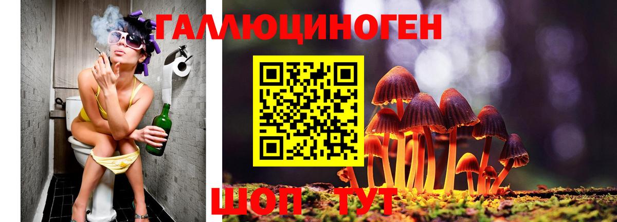 Псилоцибиновые грибы Psilocybe Конаково